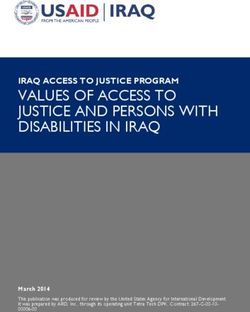 VALUES OF ACCESS TO JUSTICE AND PERSONS WITH DISABILITIES IN IRAQ