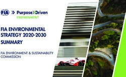 FIA ENVIRONMENTAL STRATEGY 2020-2030 SUMMARY - FIA ENVIRONMENT & SUSTAINABILITY COMMISSION