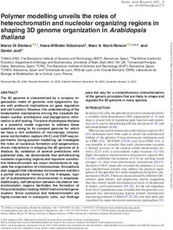 Polymer modelling unveils the roles of heterochromatin and nucleolar organizing regions in shaping 3D genome organization in Arabidopsis thaliana ...