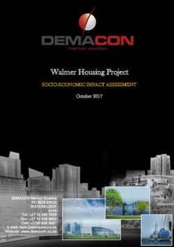 Walmer Housing Project - SOCIO-ECONOMIC IMPACT ASSESSMENT October 2017 - SOCIO-ECONOMIC IMPACT ...