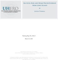 Sea Level Rise and Home Prices:Evidence from Long Island
