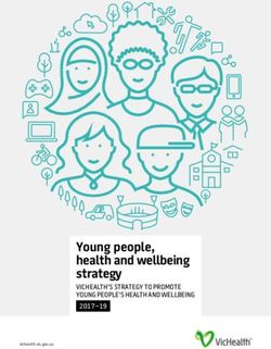 Young people, health and wellbeing strategy - VICHEALTH'S STRATEGY TO PROMOTE YOUNG PEOPLE'S HEALTH AND WELLBEING 2017-19