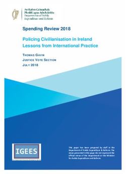 Spending Review 2018 Policing Civilianisation in Ireland Lessons from International Practice