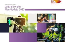 Central London Plan Update 2020 - UK Power Networks