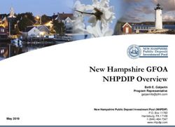 New Hampshire GFOA NHPDIP Overview