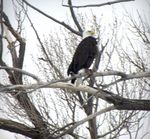 River's Edge Echo-First Presbyterian Church Saratoga, Wyoming