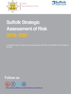 Suffolk Strategic Assessment of Risk 2018- 2021 - Follow us