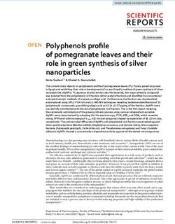 Polyphenols profile of pomegranate leaves and their role in green synthesis of silver nanoparticles - Nature