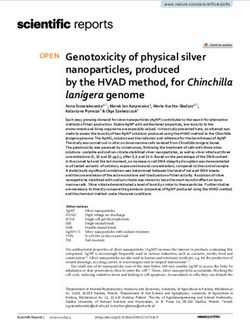 Genotoxicity of physical silver nanoparticles, produced by the HVAD method, for Chinchilla lanigera genome