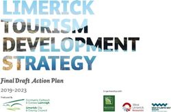 Final Draft Action Plan - 2019-2023 In partnership with - Limerick.ie