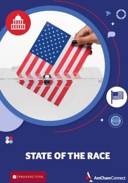 STATE OF THE RACE - AMCHAM CONNECT
