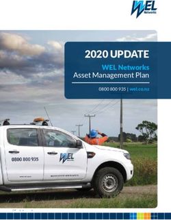 2020 UPDATE WEL Networks Asset Management Plan - 0800 800 935 | wel.co.nz