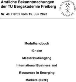 Amtliche Bekanntmachungen der TU Bergakademie Freiberg - Nr. 40, Heft 2 vom 15. Juli 2020 Modulhandbuch für den Masterstudiengang International ...