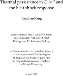Thermal persistence in E. coli and the heat shock response