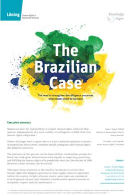 The Brazilian Case The need to strengthen due diligence processes when states seem to fall back - Löning - Human Rights & ...