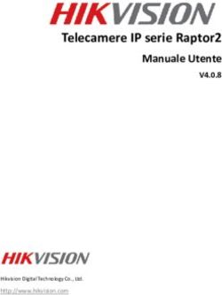 Telecamere IP serie Raptor2 - Manuale Utente V4.0.8 - Ftp