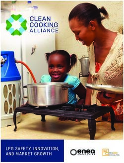 LPG SAFETY, INNOVATION, AND MARKET GROWTH - Clean Cooking ...