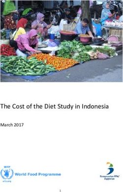 The Cost of the Diet Study in Indonesia - March 2017 - World Food Programme