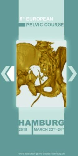 PELVIC COURSE 6th EUROPEAN 2018 - 7th European Pelvic Course 2018