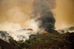 California wildfires threaten famous giant sequoia trees