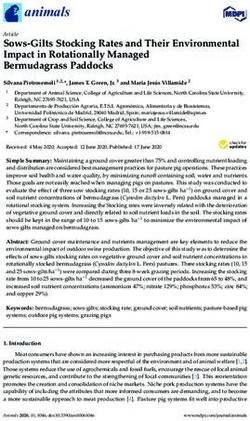 Sows-Gilts Stocking Rates and Their Environmental Impact in Rotationally Managed Bermudagrass Paddocks