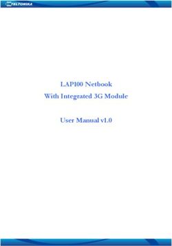 LAP100 Netbook With Integrated 3G Module User Manual v1.0