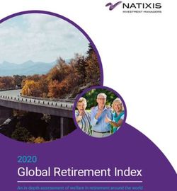 Global Retirement Index - 2020 An in-depth assessment of welfare in retirement around the world - investrends.ch