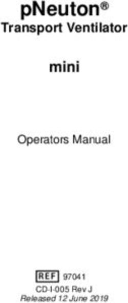 PNeuton mini Transport Ventilator - Airon Corporation