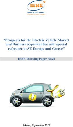 "Prospects for the Electric Vehicle Market and Business opportunities with special reference to SE Europe and Greece" - IENE Working Paper No24