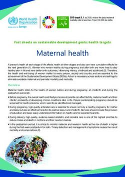 Maternal health Fact sheets on sustainable development goals: health targets - WHO/Europe