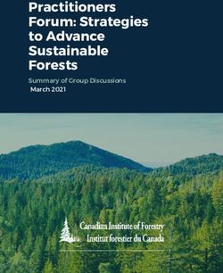 Practitioners Forum: Strategies to Advance Sustainable Forests - Summary of Group Discussions March 2021