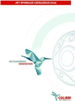 JET SPINDLES CATALOGUE 2021 - INNOVATION METALWORKING - Dixi Polytool