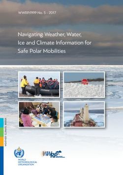 Navigating Weather, Water, Ice and Climate Information for Safe Polar Mobilities - WWRP/PPP No. 5 2017 - AWI