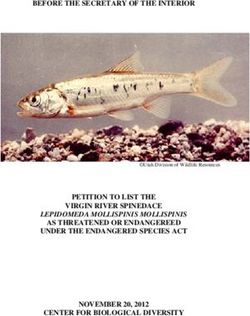 BEFORE THE SECRETARY OF THE INTERIOR