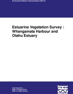 Estuarine Vegetation Survey : Whangamata Harbour and Otahu Estuary - Environment Waikato Technical Report 2007/25