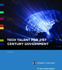 TECH TALENT FOR 21ST CENTURY GOVERNMENT - Partnership ...