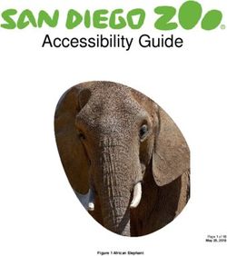 Accessibility Guide - Figure 1 African Elephant - San Diego Zoo