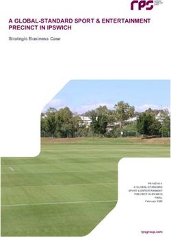A GLOBAL-STANDARD SPORT & ENTERTAINMENT PRECINCT IN IPSWICH - Strategic Business Case