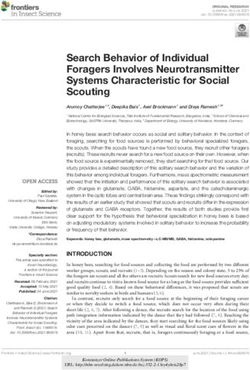 Search Behavior of Individual Foragers Involves Neurotransmitter Systems Characteristic for Social Scouting