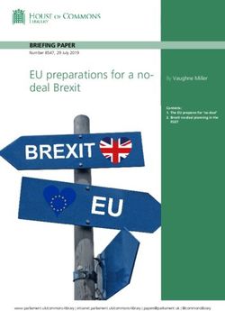 EU preparations for a no- deal Brexit - BRIEFING PAPER - Brexit - An Irish Guide